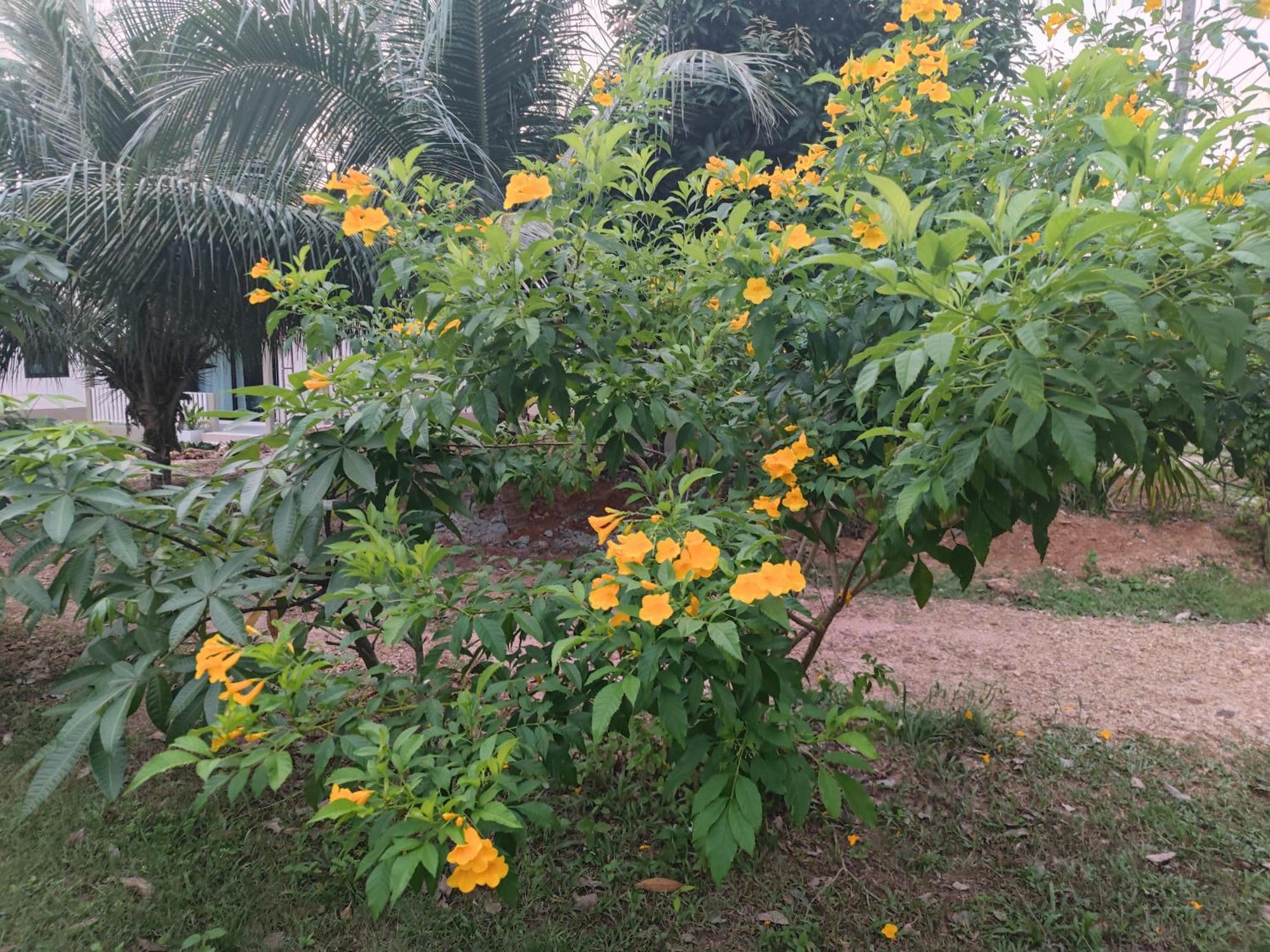 The Secret Garden Homestay Koh Yao Yai Ko Yao Esterno foto